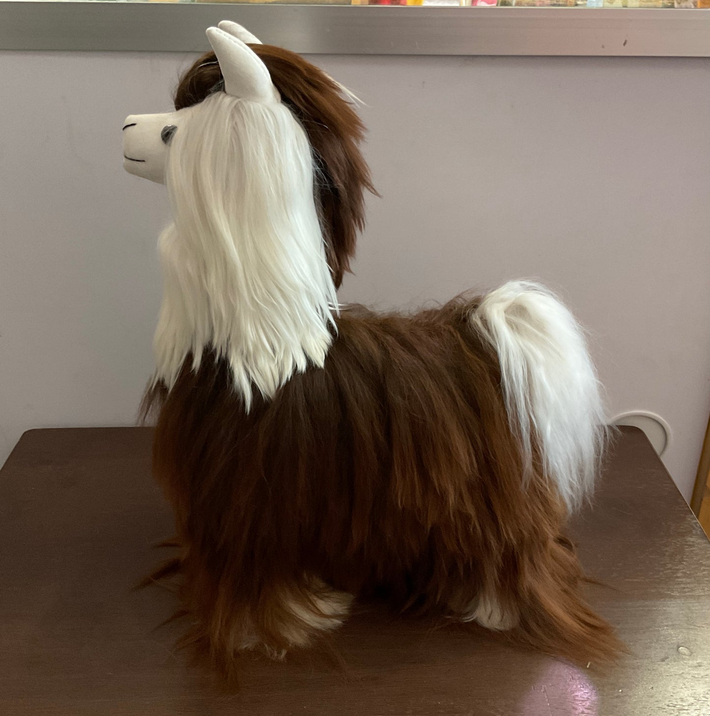 Kusi Friends Suri Alpaca