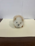 Kusi Friends Mini Guinea Pig - Baby Alpaca Fur Animal