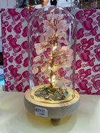 Mineral Stone Tree of Life with Glass Cover & LED Light