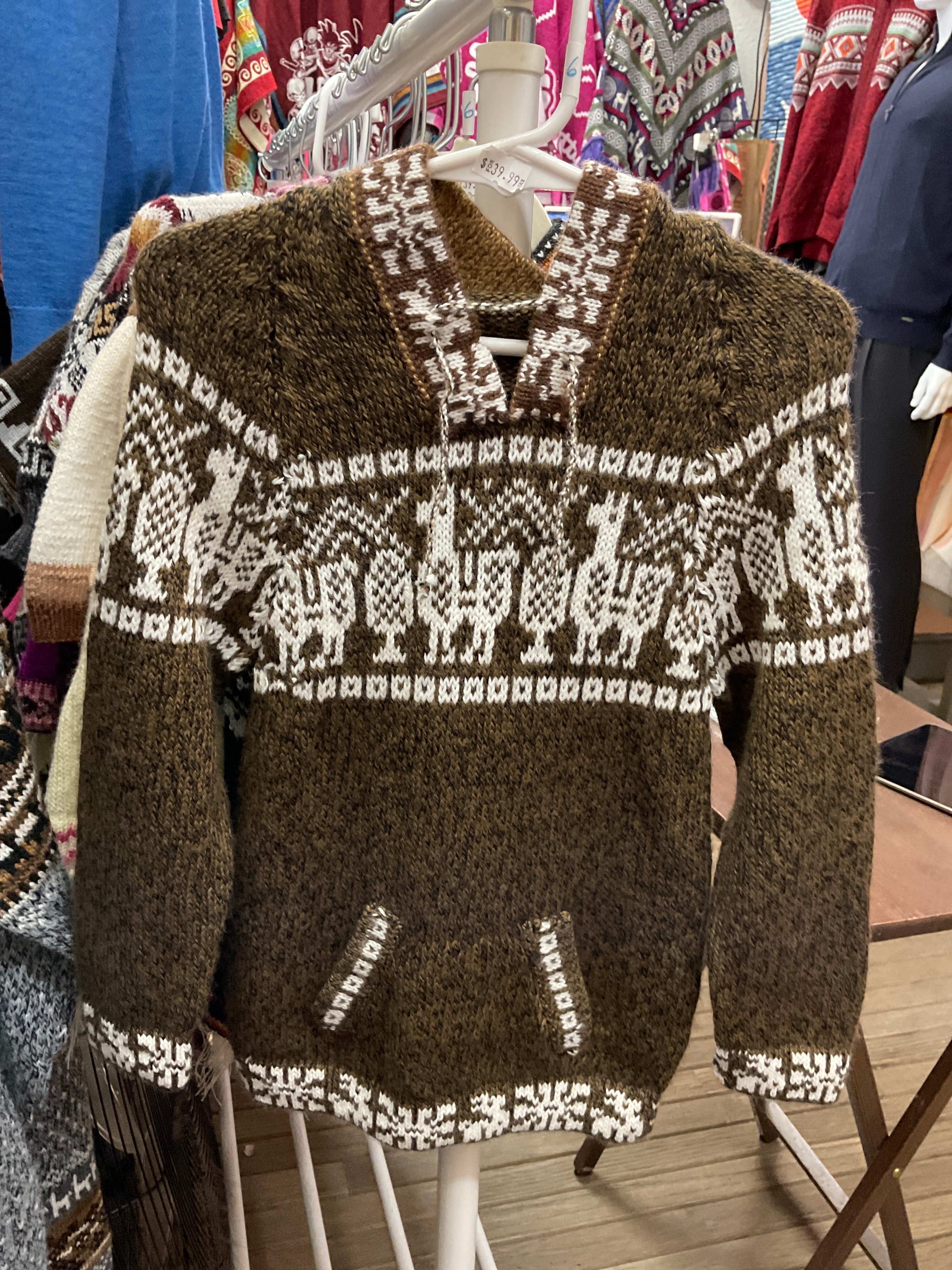 Children’s Andeans Hoodie
