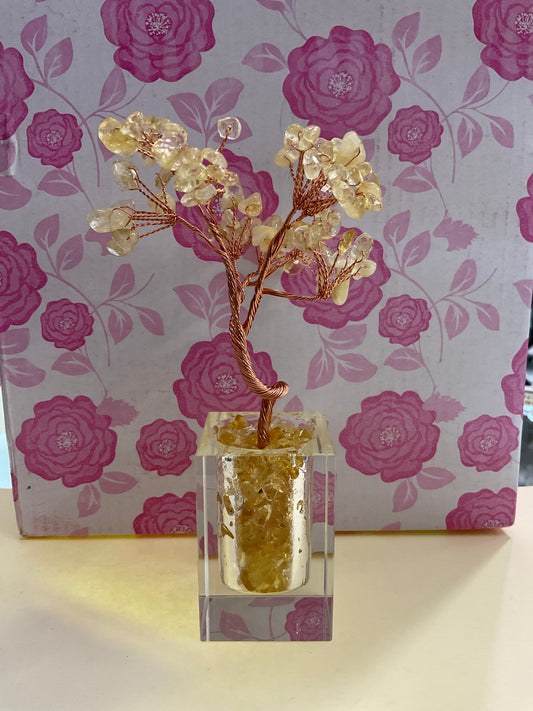 Mineral/Stone Tree of Life in Square Glass