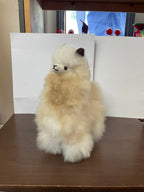 Kusi Friends Medium Alpaca — 10" Baby Alpaca Fur Stuffed Animal