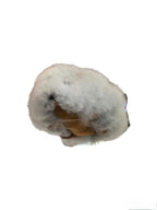 Kusi Friends Guinea Pig (7in/19cm) - Baby Alpaca Fur Animal