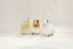 Kusi Friends Alpaca (10cm) - Baby Alpaca Fur Animal