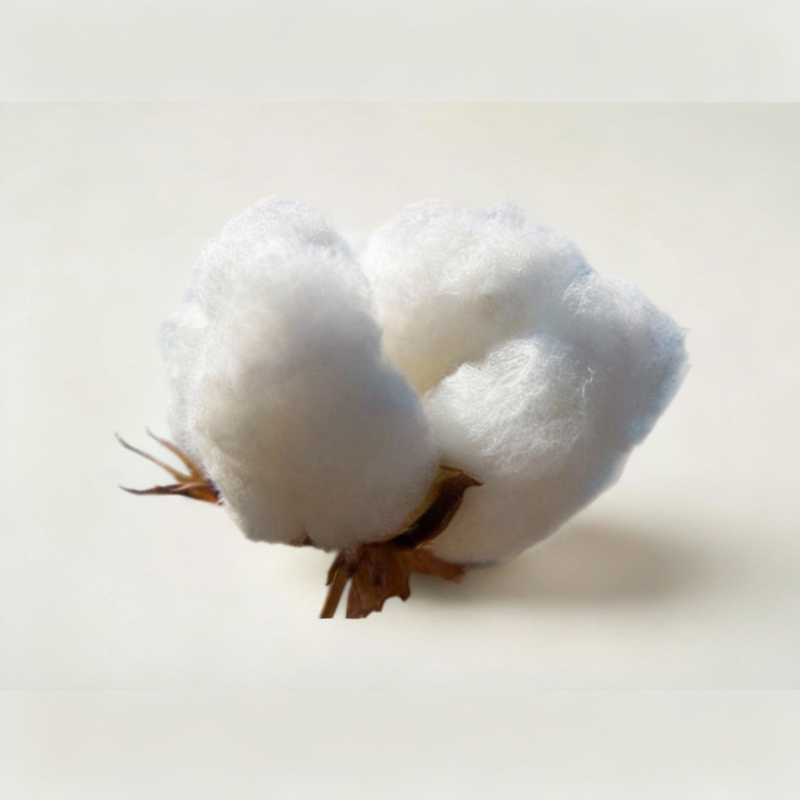 Pima Cotton